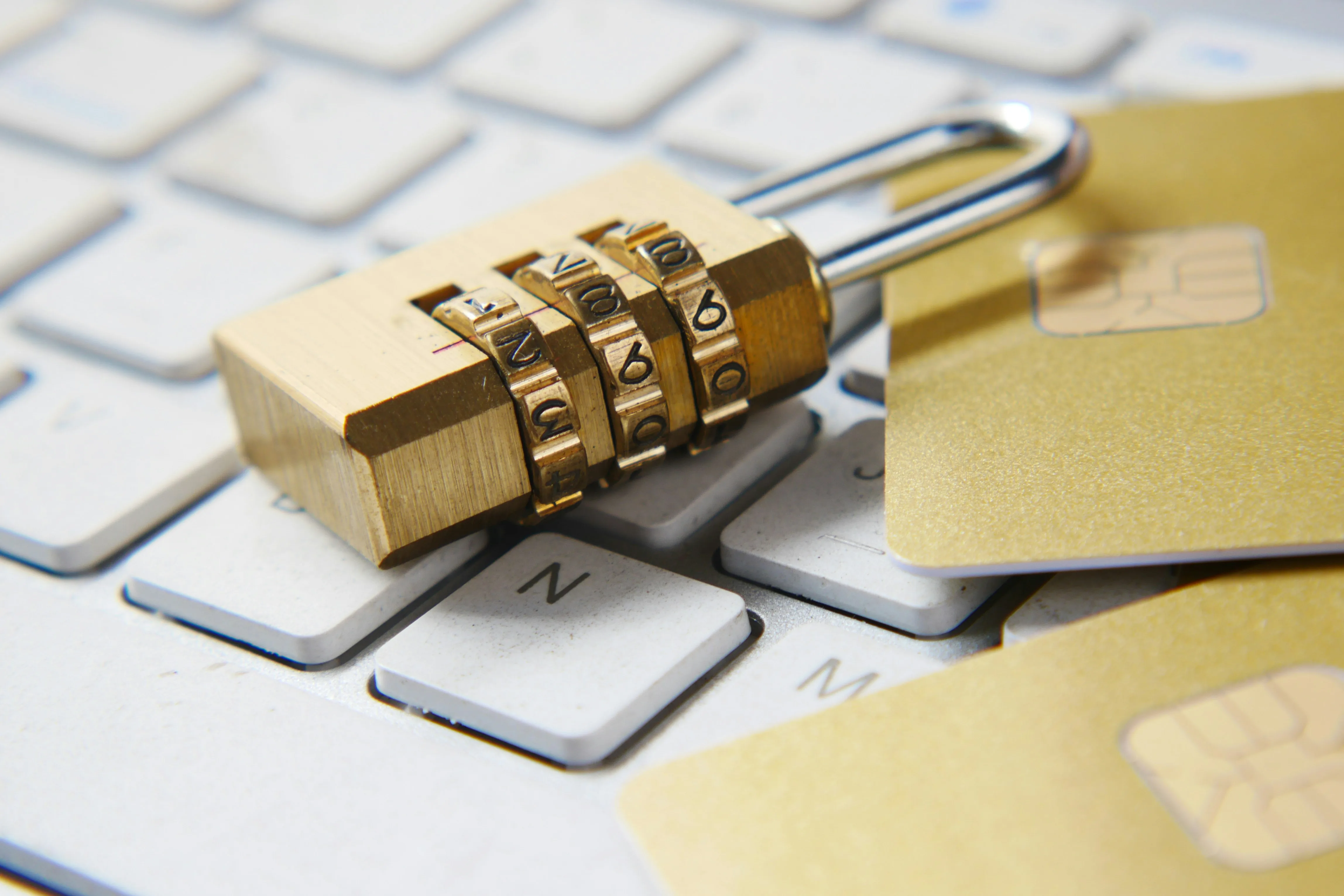 Password manager